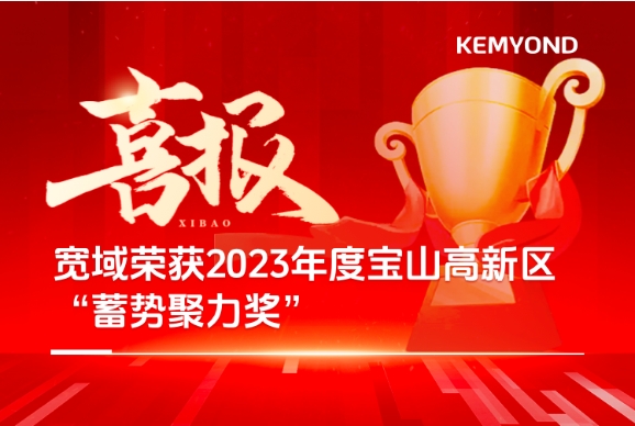 喜报 | 伟德体育荣获2023年度宝山高新区“蓄势聚力奖”