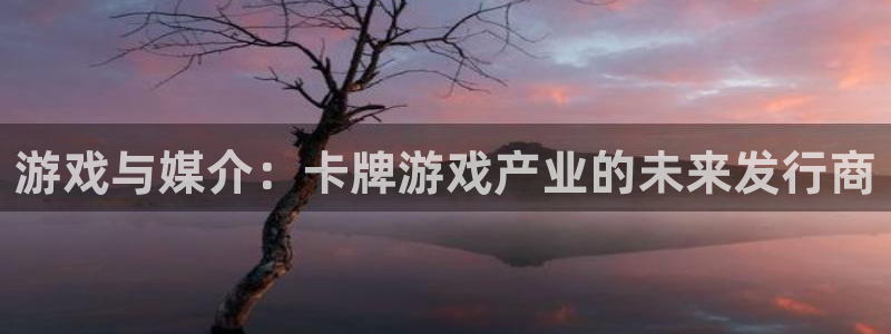新宝GG官网挂机项目怎么样可靠吗：游戏与媒介：卡牌游戏产业的未来发行商
