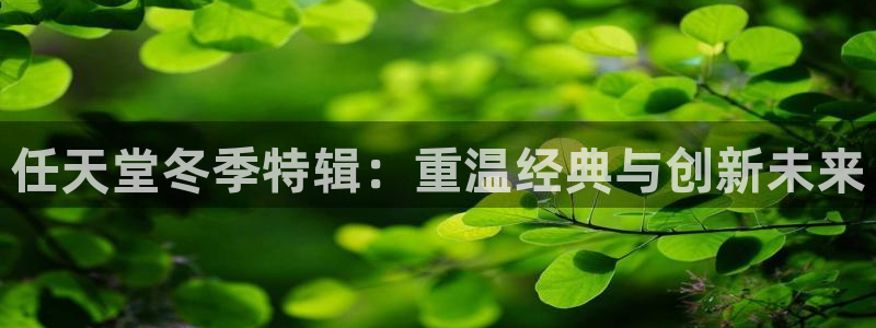 新宝GG集团是什么企业：任天堂冬季特辑：重温经典与创新未来