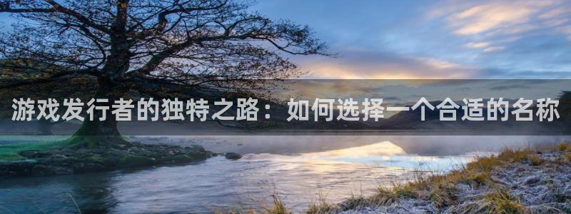 新宝GG官网注册方法：游戏发行者的独特之路：如何选择一个合适的名称