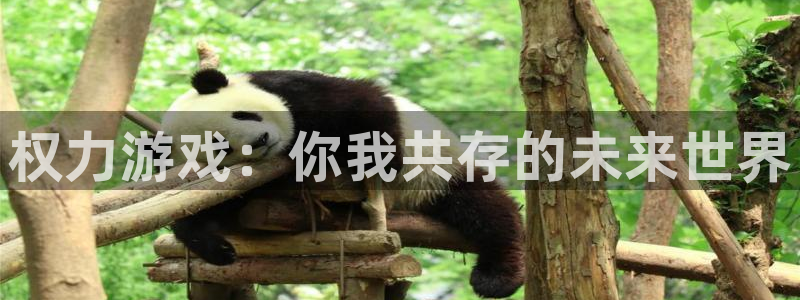 新宝GG官网代理注册：权力游戏：你我共存的未来世界