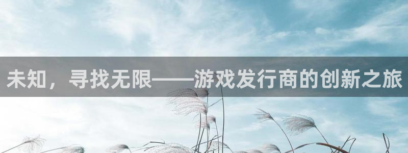 新宝GG官网客服服务电话：未知，寻找无限——游戏发行商的创新之旅