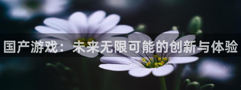 新宝GG官网登录注册账号安全吗：国产游戏：未来无限可能的创新与体验