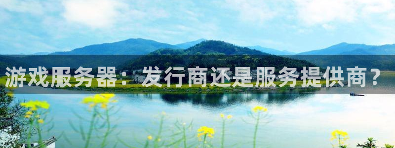 新宝GG子文化是干嘛的：游戏服务器：发行商还是服务提供商？