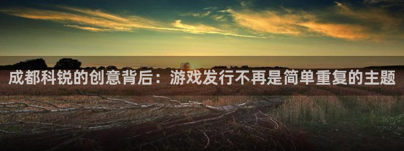 新宝GG子代表什么意思