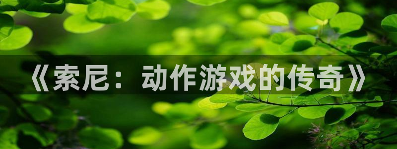 新宝GG官网官网注册账号：《索尼：动作游戏的传奇》