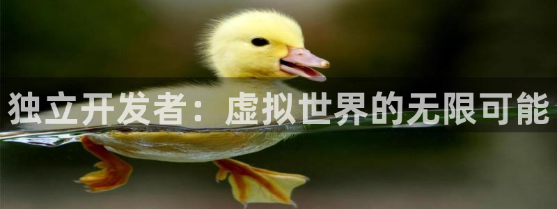 新宝GG电子商务有限公司怎么样啊：独立开发者：虚拟世界的无限可能