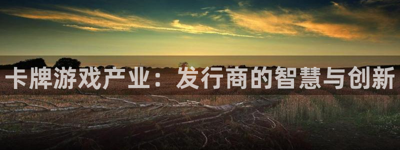 新宝GG官网解绑银行卡：卡牌游戏产业：发行商的智慧与创新