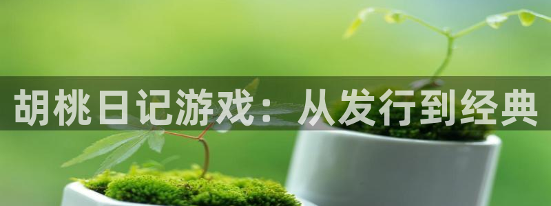 新宝GG官网游戏：胡桃日记游戏：从发行到经典