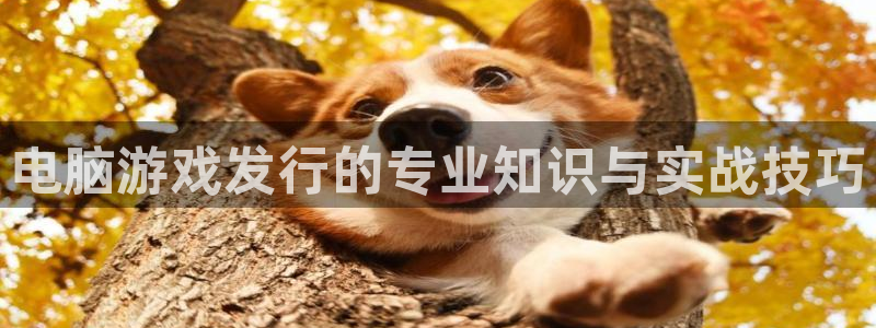 新宝GG官网登录注册失败怎么办：电脑游戏发行的专业知识与实战技巧