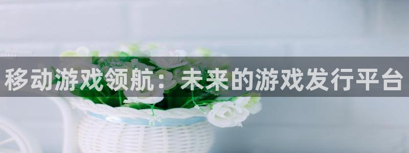 新宝GG子怎么来的