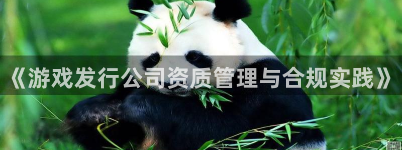 新宝GG电子科技怎么样