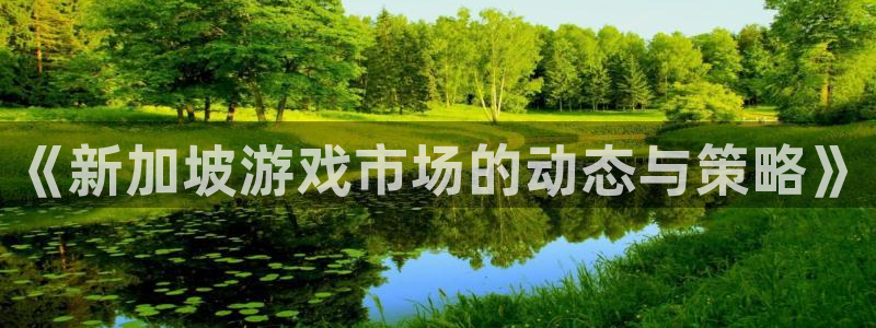 新宝GG官网注册地址：《新加坡游戏市场的动态与策略》